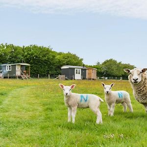 Take Time Shepherd'S Huts By Bloom Stays 埃杰顿 Exterior photo