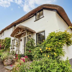 Rose Cottage In Holcombe 道利什 Exterior photo