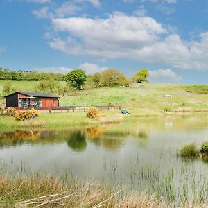 Llyn Cae Ty Nant Fishery Holiday Let 兰彼得 Exterior photo
