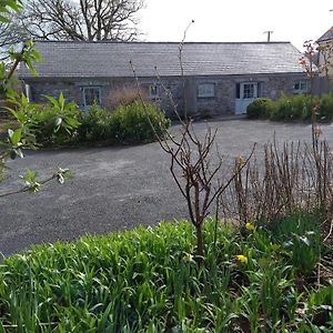 Carreg Cennen Cottage 卡马森 Exterior photo