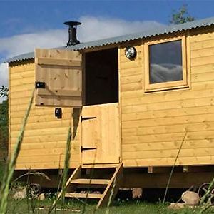 The Shepherd'S Hut With Swimming Pool 雷克瑟姆 Exterior photo