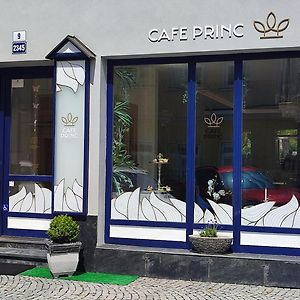 ŠternberkApartman - Cafe Princ Pod Hradem Wifi, Klima公寓 Exterior photo