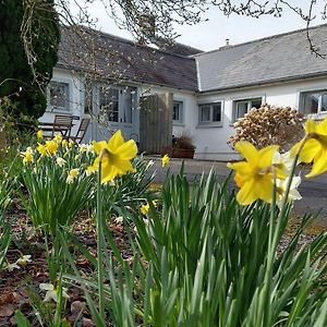 Dinefwr Cottage 卡马森 Exterior photo