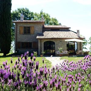 卡斯泰洛城Agriturismo Sanventura住宿加早餐旅馆 Exterior photo