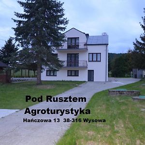 Wysowa-ZdrójPod Rusztem Agroturystyka公寓 Exterior photo