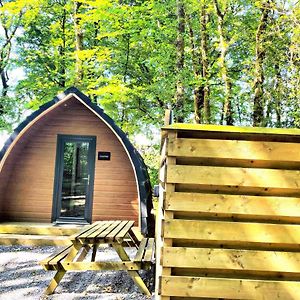 The Pod-Hot Tub-Woodland Lodges-St Clears-卡马森 Exterior photo
