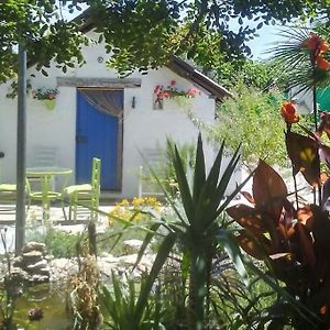 赫雷斯Vivienda Rural La Choza别墅 Exterior photo