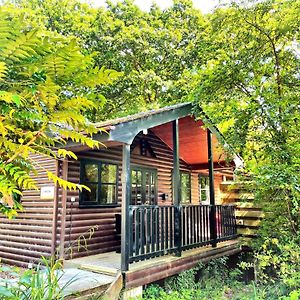 Shrew Lodge-Woodland Lodges-Hot Tub-Pembrokeshire-Tenby 卡马森 Exterior photo