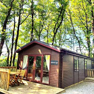 Woodland View -Hot Tub-Tenby-Carmarthen-圣克莱尔斯 Exterior photo