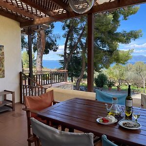 塞奥洛戈斯Stunning Evia Sea View Country House别墅 Exterior photo