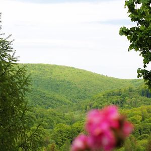 Lili'S Lovely Log Home In The Forest 比克克森特凯赖斯特 Exterior photo