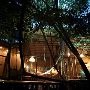 图卢姆Ojo De Arbol, Boutique Cabin In The Real Jungle别墅 Exterior photo