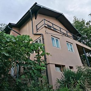 Orşova Casa Ema酒店 Exterior photo