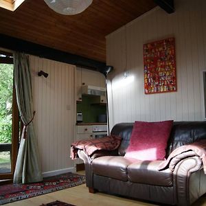 Lovely Log Cabin On Woodland Site Cenarth Exterior photo