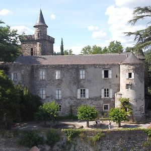 Saint-Etienne-Vallee-FrancaiseLe Chateau De Cambiaire住宿加早餐旅馆 Exterior photo