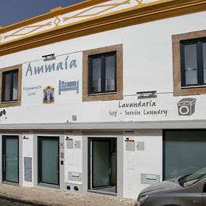 波塔莱格雷 Ammaia Al酒店 Exterior photo