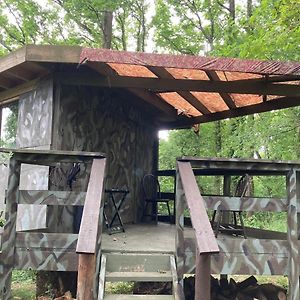 Unique Off Grid Tree-House Stay In Oak Woodland Longhope Exterior photo