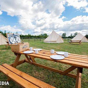 Bell Tent Glamping At Marwell Resort 温切斯特 Exterior photo