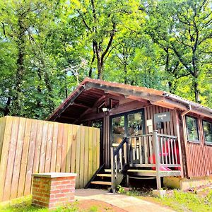 Snowdrop 9 Hot Tub-Woodlandlodges-Pembrokeshire 卡马森 Exterior photo