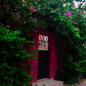 O Petit Club Africain Dakar住宿加早餐旅馆 Exterior photo