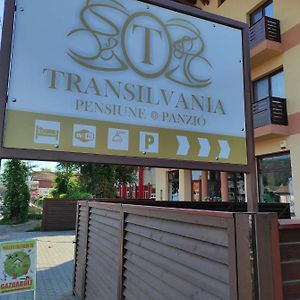 Pensiunea Transilvania 奥多尔黑塞库耶斯克 Exterior photo