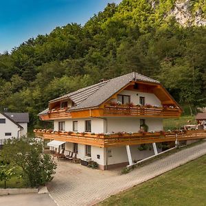 Fine Stay Apartments Zirovnica Exterior photo