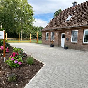 EllingstedtFerienhaus „De Fofftein“ In Bockhoeft别墅 Exterior photo