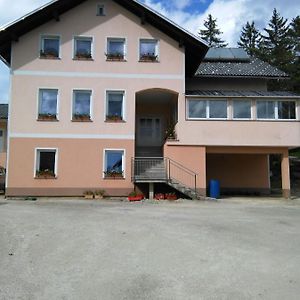 诺瓦沃什Kmetija Knavs别墅 Exterior photo