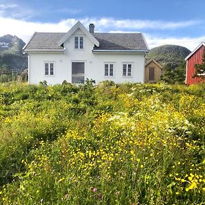 Romantisk Hus-Med Panorama Utsikt Over Lofotodden Sørvågen Exterior photo