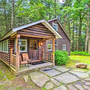 KunkletownSecluded And Quiet Pocono Mountain Cabin With Hot Tub!别墅 Exterior photo