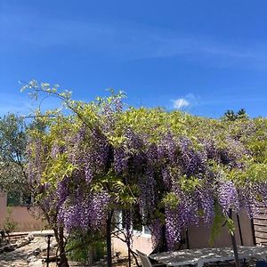 Sainte-Croix-de-QuintillarguesLe Clos Des Olivettes住宿加早餐旅馆 Exterior photo