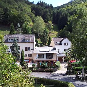 Ferien Und Selbstversorgerhaus Fur Gruppen Sauerthaler Hof - Loreley Exterior photo