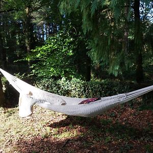 Dormir Au Bord De La Vezere Treignac Exterior photo