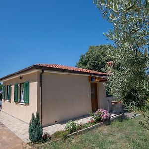 Holiday House With A Parking Space Kastel, Central Istria - Sredisnja Istra - 14572 布耶 Exterior photo