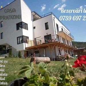 Casa Prieteniei - Apartament Cu Terasa - 3 Km Piatra Neamt公寓 Exterior photo