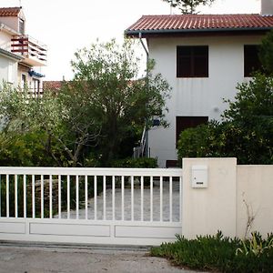 Apartments With A Parking Space Sabunike, Zadar - 12960 普利拉卡 Exterior photo