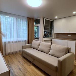 Apartment Near Outlet Park By Urban Rent 维尔纽斯 Exterior photo