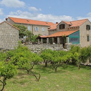 Apartments With A Parking Space Mocici, Dubrovnik - 9081 米利尼 Exterior photo