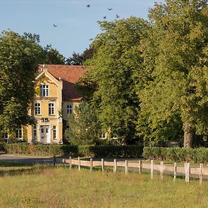 Naturnahes, Neu Eingerichtetes Apartment Mit 1 Schlafzimmer Neu Gaarz Exterior photo