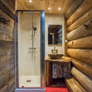 维拉尔-德朗Magnifique Chalet En Rondins Avec Sauna - Vercors别墅 Exterior photo