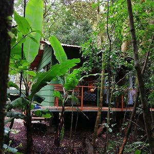Tree Houses Bosque Nuboso Monteverde Exterior photo