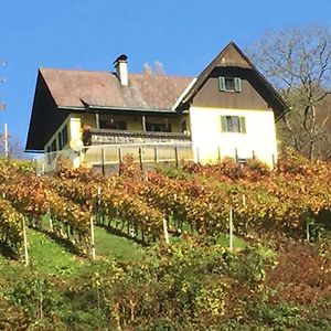Malerisches Weingartenhauschen In Kitzeck 绍萨尔地区基策克 Exterior photo