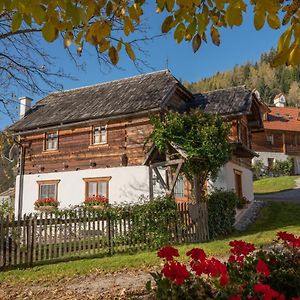 Troadkasten - Ferienhaus Am Bio-Bergbauernhof Aflenz Kurort Exterior photo