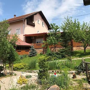 Family Friendly Apartments With A Swimming Pool Ostarski Stanovi, Plitvice - 17806 拉科维察 Exterior photo