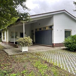 Vrijstaande Zeer Ruime 6 Pers 3Slk Vakantiebungalow 41 Hoek Exterior photo