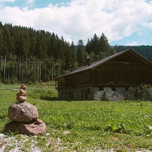 San Nicolo di ComelicoLaerchenwirt Dolomites公寓 Exterior photo