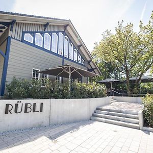 内卡河畔弗赖贝格 Ruebli酒店 Exterior photo