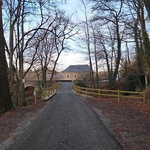 Saint-Aubin-des-LandesLe Moulin De Bretigneul住宿加早餐旅馆 Exterior photo