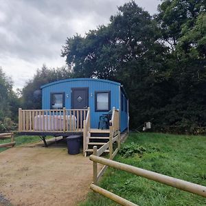 Large Glamping Hut - Riverview 13 威尔斯浦 Exterior photo