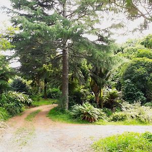 Quirky Woods - Glamping Cabins At Maketu别墅 Exterior photo